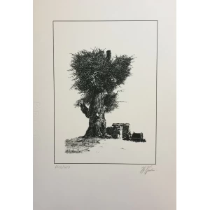 Christos Omar Baghdatis, Olive Tree, Silkscreen print, 45 x 35 cm