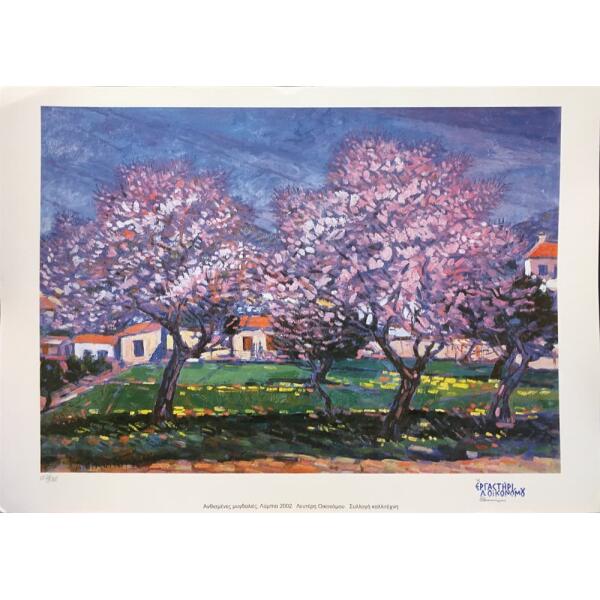 Economou Lefteris, Blooming Αlmond Τrees, Lymbia 2002, Limited edition print, 49 x 68 cm