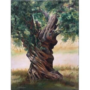 Petkova Nonka, Olive Tree, Oil on canvas, 39 x 29 cm
