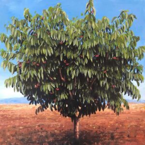 Schinas Kostas portrait image