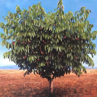 Schinas Kostas portrait image